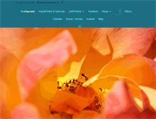 Tablet Screenshot of healingmusic.de